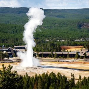 Yellowstone: Private Guided Tour