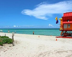 Private 4-hours City Tour of Miami from Miami Airport with private driver/guide