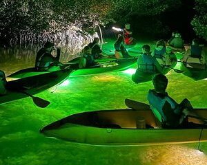 Sharkeys Glass Bottom Fish Feeding LED Night Tour Key West
