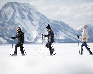 Private 4 hour Snowshoe in Grand Teton National Park