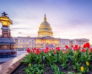 Iconic Film and Movie Locations Half Day Tour in Washington D.C.