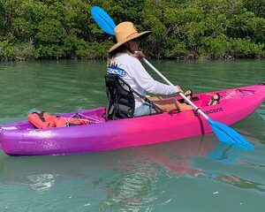 Beginner Friendly 1-Hour Paddle Tour by Kayak or SUP