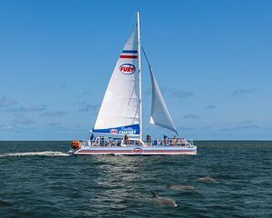 Dolphin Watch & Harbor Tour in Historical St. Augustine