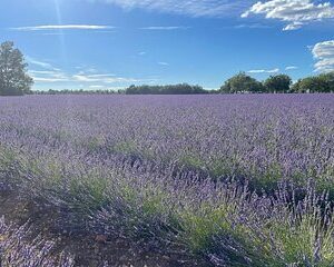 Provence pearl of southern France