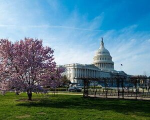 Washington DC Private Scavenger Hunt Tour