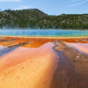 Best of Yellowstone - Guided National Park Safari Tour