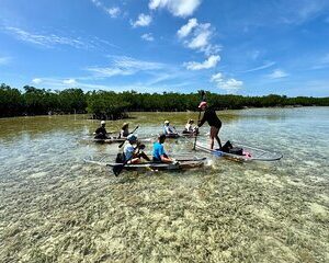 Guided Clear Kayak Eco-Tour Near Key West