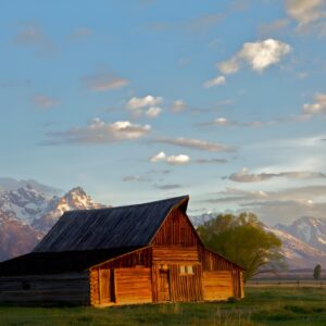 Half Day Private Sunrise Wildlife Safari