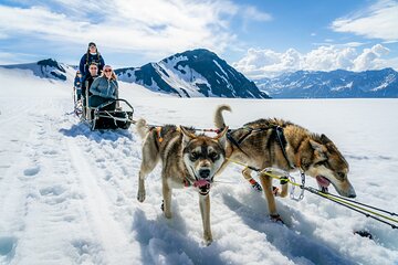 Helicopter Glacier Dogsled Tour + Bear Glacier Lagoon - Seward Helicopter Glacier Dogsled Tour + Bear Glacier Lagoon - Seward