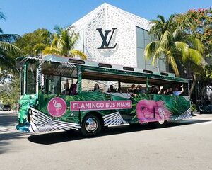 MIAMI BUS TOUR | Flamingo Open-Air Trolley Sightseeing City Tour