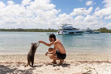 Miami Island Adventure: Boat Rental to Raccoon Island Miami Island Adventure: Boat Rental to Raccoon Island
