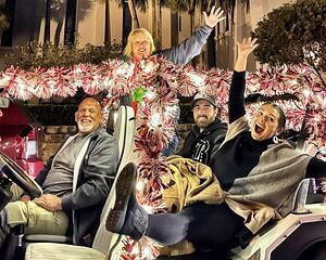 Nights of Lights - Private Christmas Car Photo Tour 4-6 people