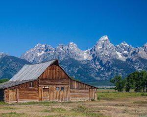 Private Grand Teton Wildlife Safari Tour