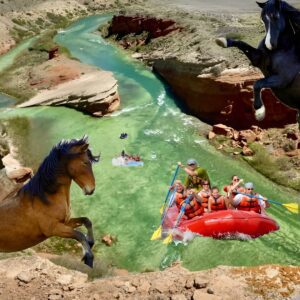 Red Canyon's Best Of The Wild West Wild Mustang+Rafting Adventure