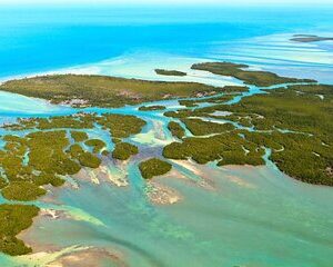 Six Fins Private Key West Eco Tour - Wildlife Refuge Adventure