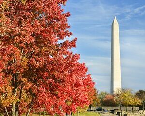 Washington DC Monuments Self-Guided Walking Audio Tour
