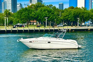 31-foot Miami Private Boat Rental for 12 People