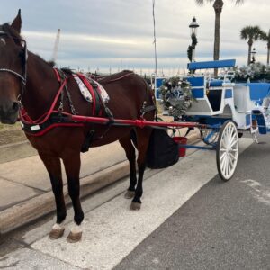Classic Horse-Drawn Carriage Tour