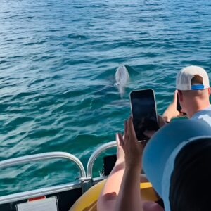 Destin Boat Ride with Cruise Destin Bay