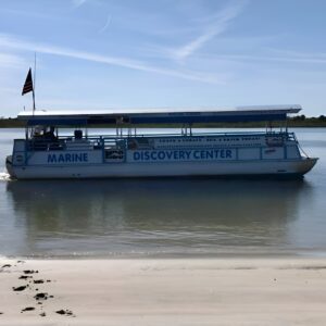 Discovery Dolphin Boat Tour