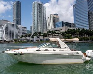Explore Miami by Boat Rental