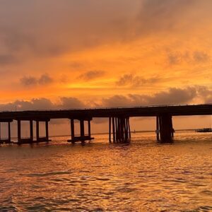 Private Dolphin Cruise in Destin holds 29 people