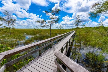 Save 20.06%! Audio Guided Driving Tour in Everglades National Park