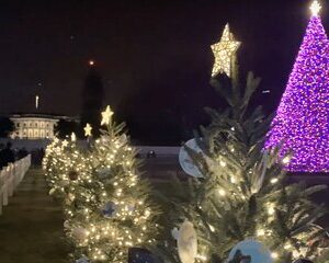 Washington, DC: National Christmas Tree & Holiday Lights Bus Tour