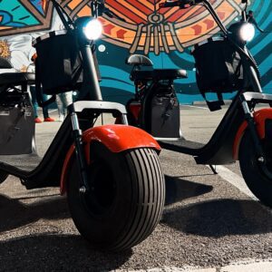 2-Hour Fat-Tire Scooter Rental in Dallas