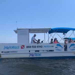 2 Hour Private Dolphin Cruise & Bay Tour