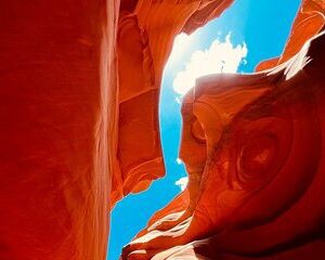 5 Day Tour L. Angeles Las Vegas Yellowstone & Grand Teton from LA