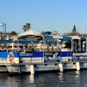 Adventure Boat Tours Dolphin Tails & History Cruise St Augustine