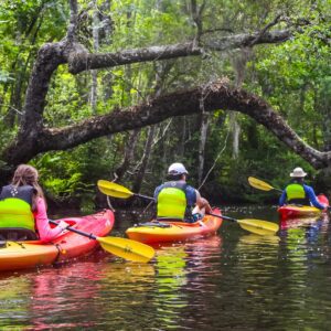 Amelia Island Guided Kayak Tour of Lofton Creek