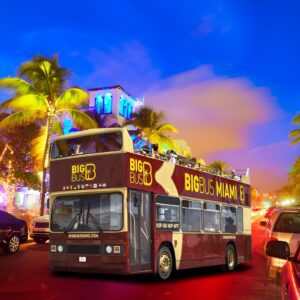 Big Bus Miami: Sightseeing Night Tour by Open-top Bus