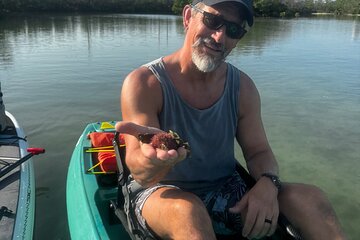 Bonita Springs Eco Kayak Tour - Best Gear, Premium&Clear Kayaks