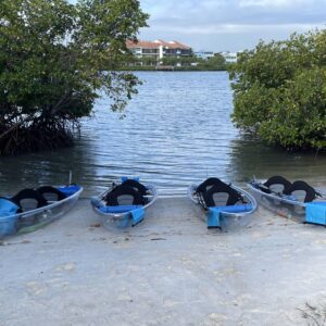 Clear Kayak Eco Tour in Jupiter, Florida