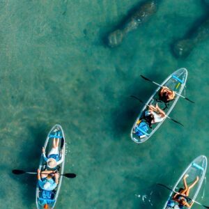 Clear Kayak Peanut Island Guided Tour Palm Beach Singer Island