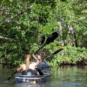 Clear Kayak Tour in North Miami Beach - Mangrove Tunnels