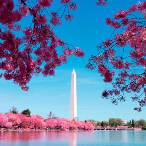 DC Bus Tour + Washington Monument, Air & Space, African American