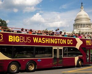 DC: Hop-On Hop-Off Tour with 17 Stops