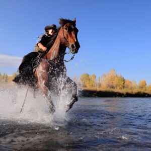 Dinner Cookout Ride at Heart Six Ranch