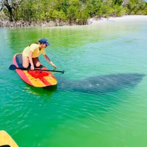 Dolphin and Manatee Adventure Tour of Fort Myers