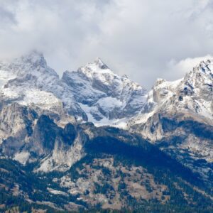Grand Teton Half Day Tour