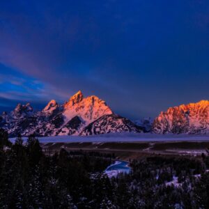 Grand Teton Winter Wildlife Tour