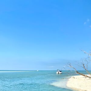 Half-Day Private Tiki Boat Beach Tour from Fort Myers