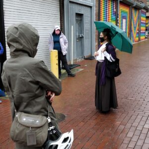 Historic Alleyways Guided Walking Tour of Washington DC