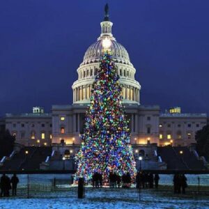 Holiday Lights & Nights City Tour with 10+ Stops, Entry Tickets