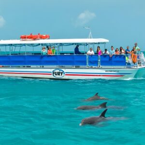 Key West Dolphin Watch and Snorkel Tour - Eco Adventure