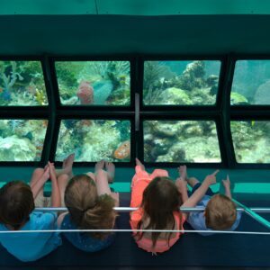 Key West Glass-Bottom Boat Tour with Sunset Option