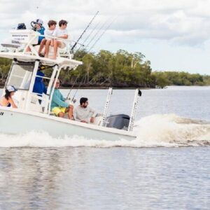 Marco Island Dolphin & Eco Tour - Private 2 Hour Wildlife Cruise
